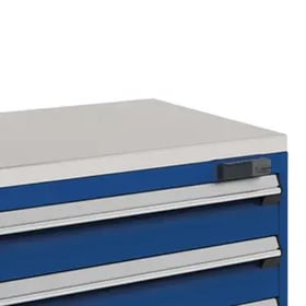 Electronic Locks (L100-L50)