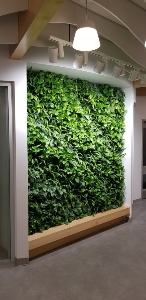 Living Wall 5