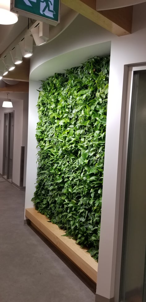 Living Wall 7