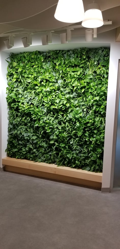 Living Wall 8