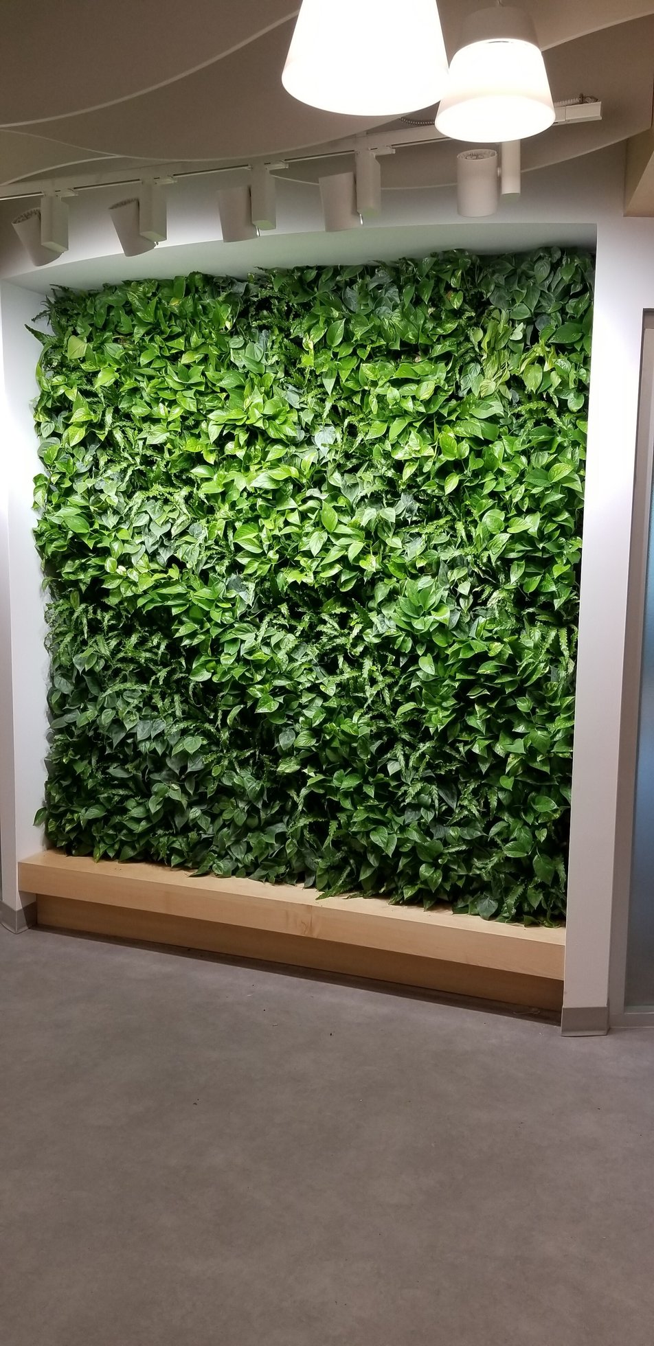 Living Wall 9