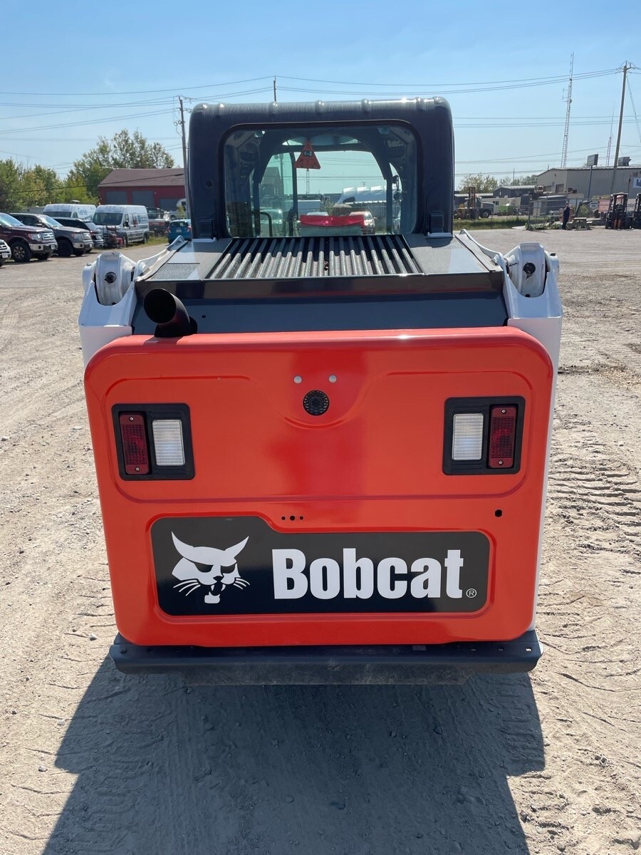 Bobcat