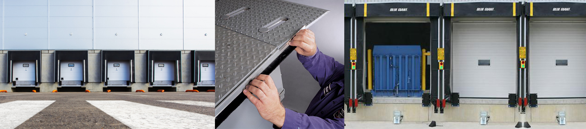Scale Carts | Equipment World