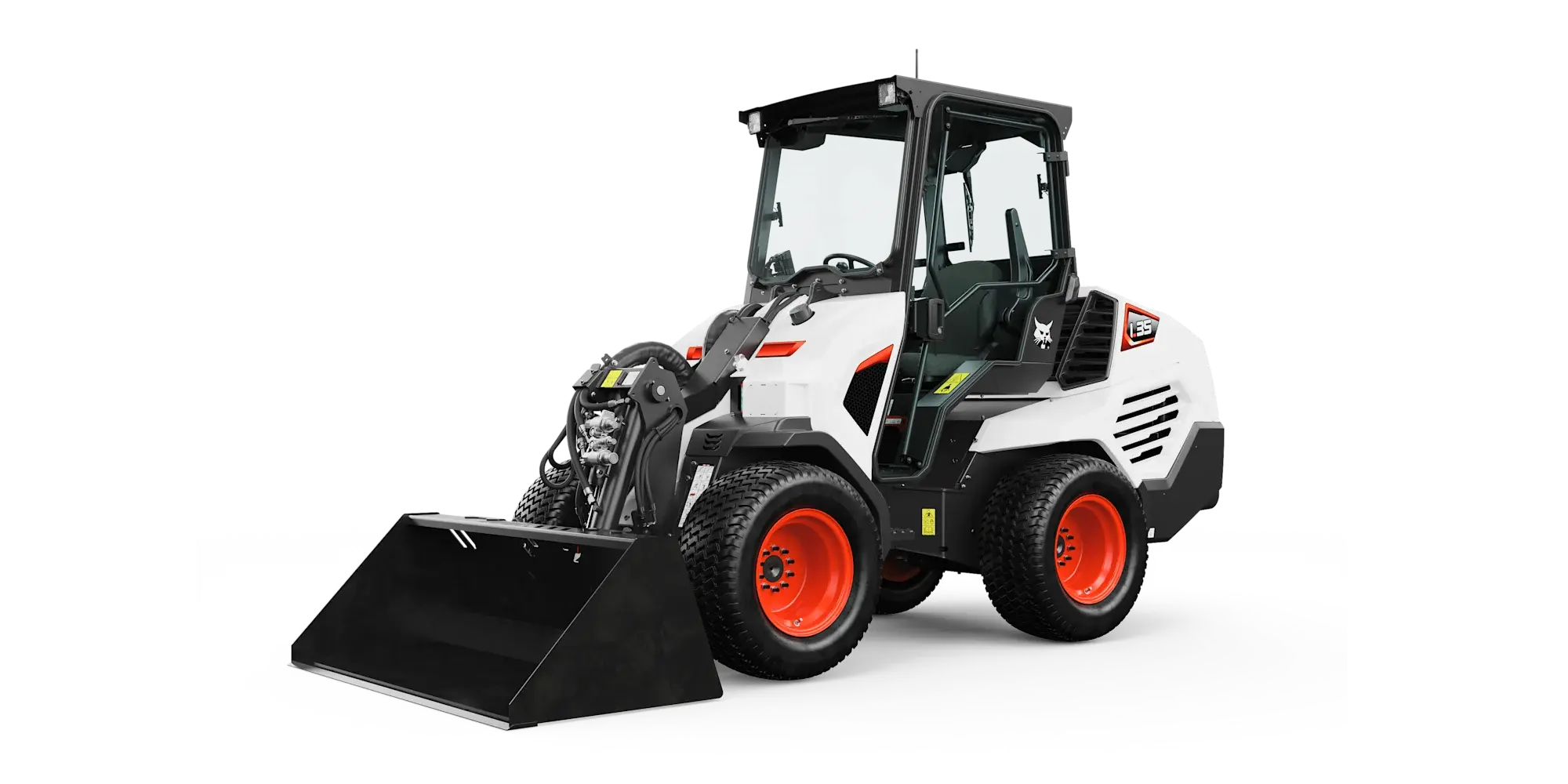 Bobcat