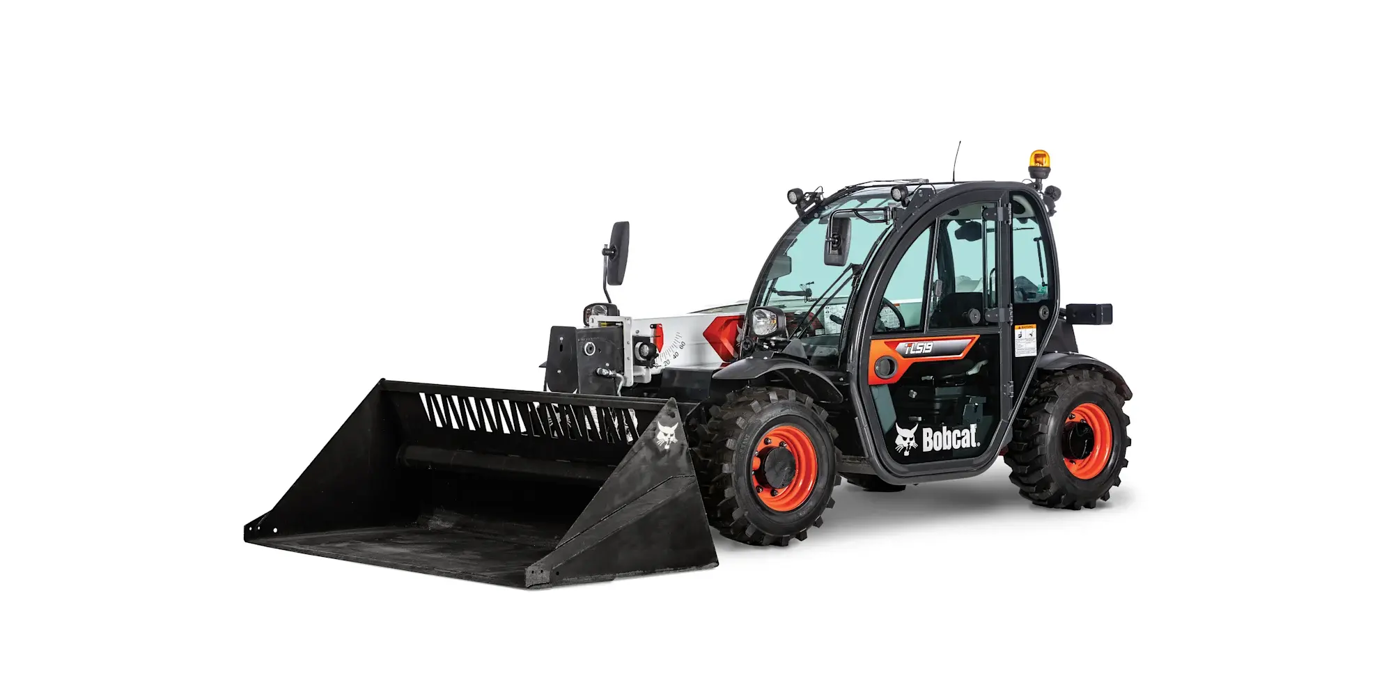 Bobcat